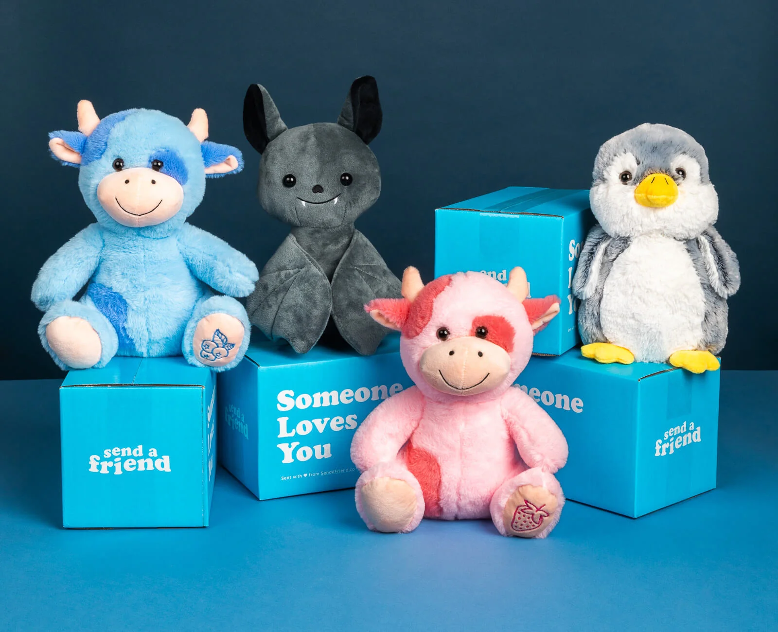 Welcome to Our Store